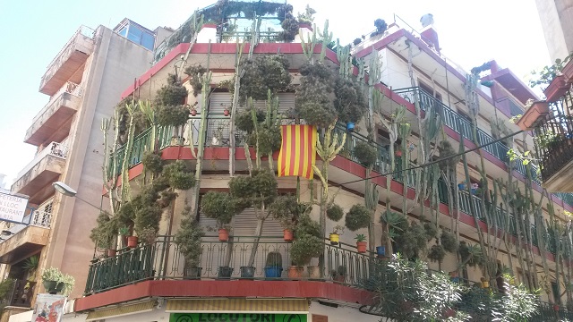 Дом с кактусами. Калелья, Барселона, октябрь 2016.