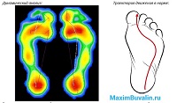Биомеханика бега: анатомия стопы, фазы правильного бега (ВИДЕО)